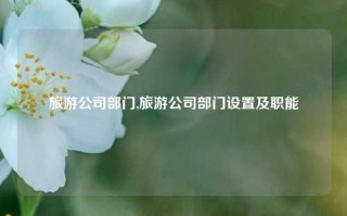 旅游公司部门,旅游公司部门设置及职能