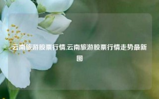 云南旅游股票行情,云南旅游股票行情走势最新图