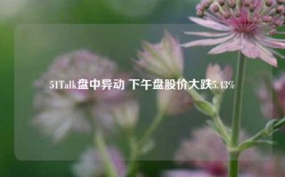 51Talk盘中异动 下午盘股价大跌5.43%