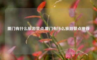 厦门有什么旅游景点,厦门有什么旅游景点推荐