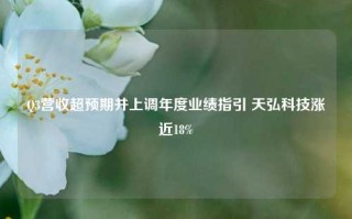 Q3营收超预期并上调年度业绩指引 天弘科技涨近18%