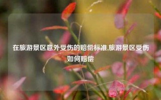 在旅游景区意外受伤的赔偿标准,旅游景区受伤如何赔偿