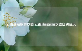 云南瑞丽旅游攻略,云南瑞丽旅游攻略自助游玩