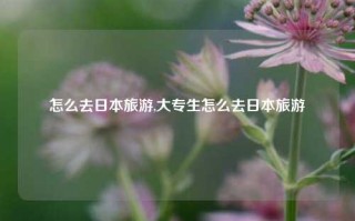 怎么去日本旅游,大专生怎么去日本旅游