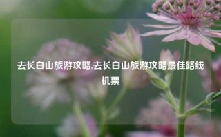 去长白山旅游攻略,去长白山旅游攻略最佳路线机票