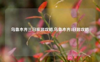 乌鲁木齐三日旅游攻略,乌鲁木齐3日游攻略