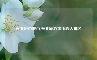 东北旅游城市,东北旅游城市收入排名