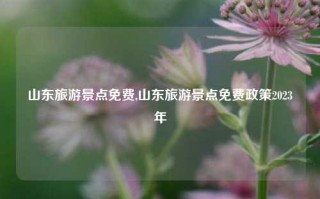 山东旅游景点免费,山东旅游景点免费政策2023年