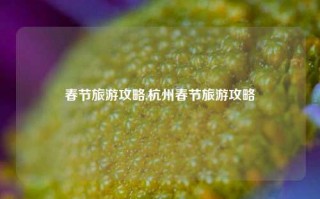 春节旅游攻略,杭州春节旅游攻略