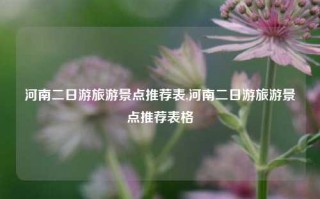 河南二日游旅游景点推荐表,河南二日游旅游景点推荐表格