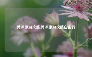 菏泽旅游攻略,菏泽旅游攻略自由行