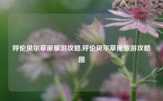 呼伦贝尔草原旅游攻略,呼伦贝尔草原旅游攻略图