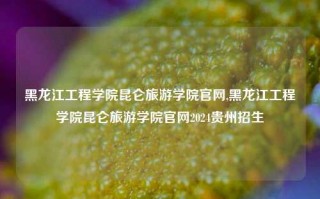 黑龙江工程学院昆仑旅游学院官网,黑龙江工程学院昆仑旅游学院官网2024贵州招生