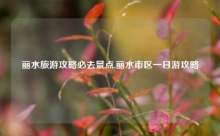 丽水旅游攻略必去景点,丽水市区一日游攻略