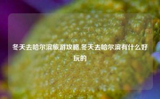 冬天去哈尔滨旅游攻略,冬天去哈尔滨有什么好玩的