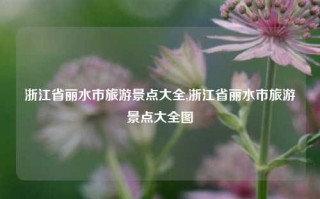 浙江省丽水市旅游景点大全,浙江省丽水市旅游景点大全图