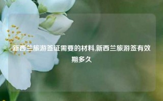 新西兰旅游签证需要的材料,新西兰旅游签有效期多久