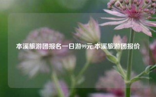 本溪旅游团报名一日游99元,本溪旅游团报价