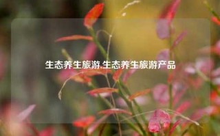 生态养生旅游,生态养生旅游产品