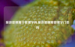 旅游管理属于管理学吗,旅游管理算管理学门类吗