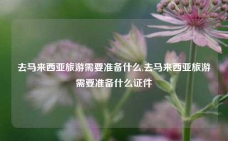 去马来西亚旅游需要准备什么,去马来西亚旅游需要准备什么证件