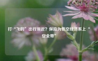 打“飞的”出行渐近？保险为低空经济系上“安全带”