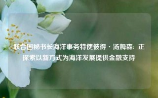 联合国秘书长海洋事务特使彼得·汤姆森:  正探索以新方式为海洋发展提供金融支持