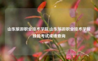 山东旅游职业技术学院,山东旅游职业技术学院技能考试成绩查询