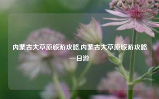 内蒙古大草原旅游攻略,内蒙古大草原旅游攻略一日游