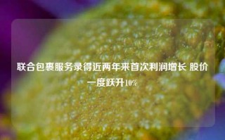 联合包裹服务录得近两年来首次利润增长 股价一度跃升10%