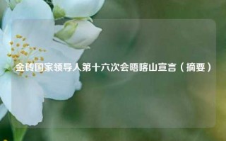 金砖国家领导人第十六次会晤喀山宣言（摘要）