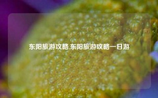 东阳旅游攻略,东阳旅游攻略一日游