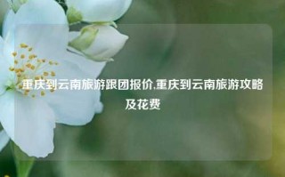 重庆到云南旅游跟团报价,重庆到云南旅游攻略及花费