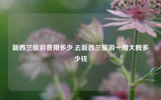 新西兰旅游费用多少,去新西兰旅游一周大概多少钱