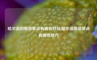 哈尔滨的旅游景点有哪些好玩,哈尔滨旅游景点有哪些地方