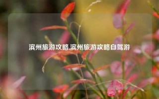 滨州旅游攻略,滨州旅游攻略自驾游