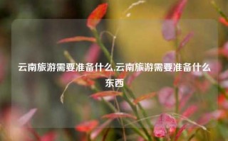 云南旅游需要准备什么,云南旅游需要准备什么东西