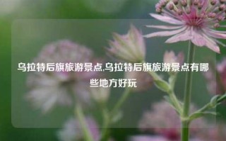 乌拉特后旗旅游景点,乌拉特后旗旅游景点有哪些地方好玩