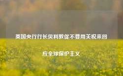 英国央行行长贝利敦促不要用关税来回应全球保护主义