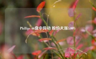 Phillips 66盘中异动 股价大涨5.00%