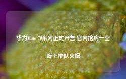 华为Mate 70系列正式开售 官网抢购一空 线下排队火爆