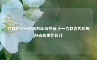 吉林省十一自驾游旅游推荐,十一吉林省内自驾游去哪里比较好