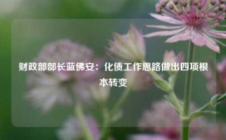 财政部部长蓝佛安：化债工作思路做出四项根本转变