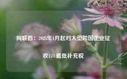 阿联酋：2025年1月起对大型跨国企业征收15%最低补充税