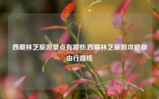 西藏林芝旅游景点有哪些,西藏林芝旅游攻略自由行路线