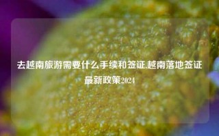 去越南旅游需要什么手续和签证,越南落地签证最新政策2024