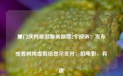 厦门侠网旅游服务新增2个投诉：发布或者利用虚假信息尔冬升：拍电影，有趣