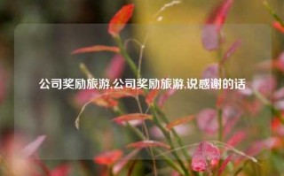 公司奖励旅游,公司奖励旅游,说感谢的话