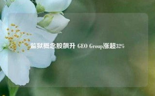 监狱概念股飙升 GEO Group涨超32%