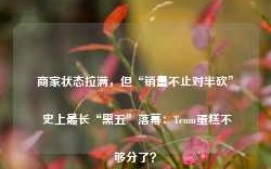 商家状态拉满，但“销量不止对半砍” 史上最长“黑五”落幕：Temu蛋糕不够分了？